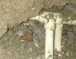 尚志卫生间测漏